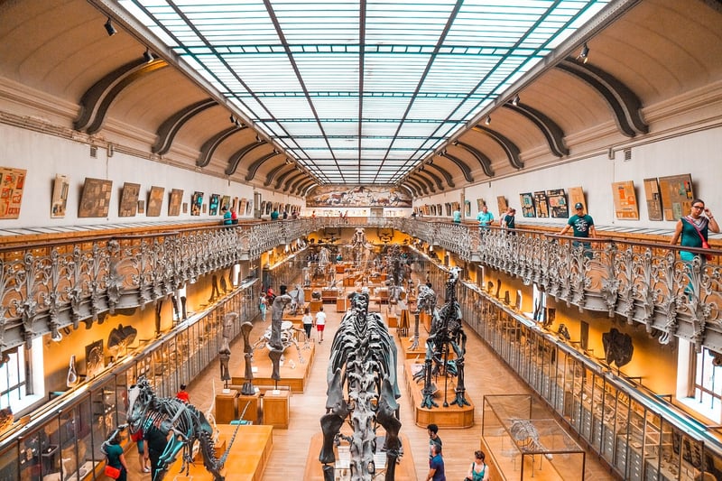 Jurassic Era Dinosaur